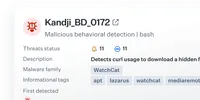 Behavioral detections screenshot