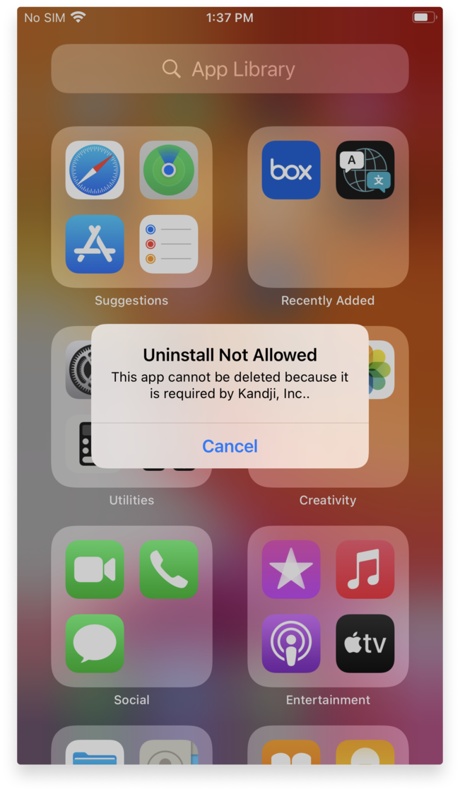 ios 14 non removable apps warning.png